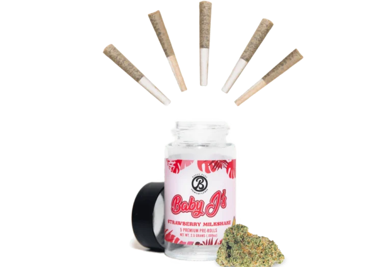 Baby-Js-Strawberry-Milkshake